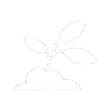 Soil Remediation & Replacement