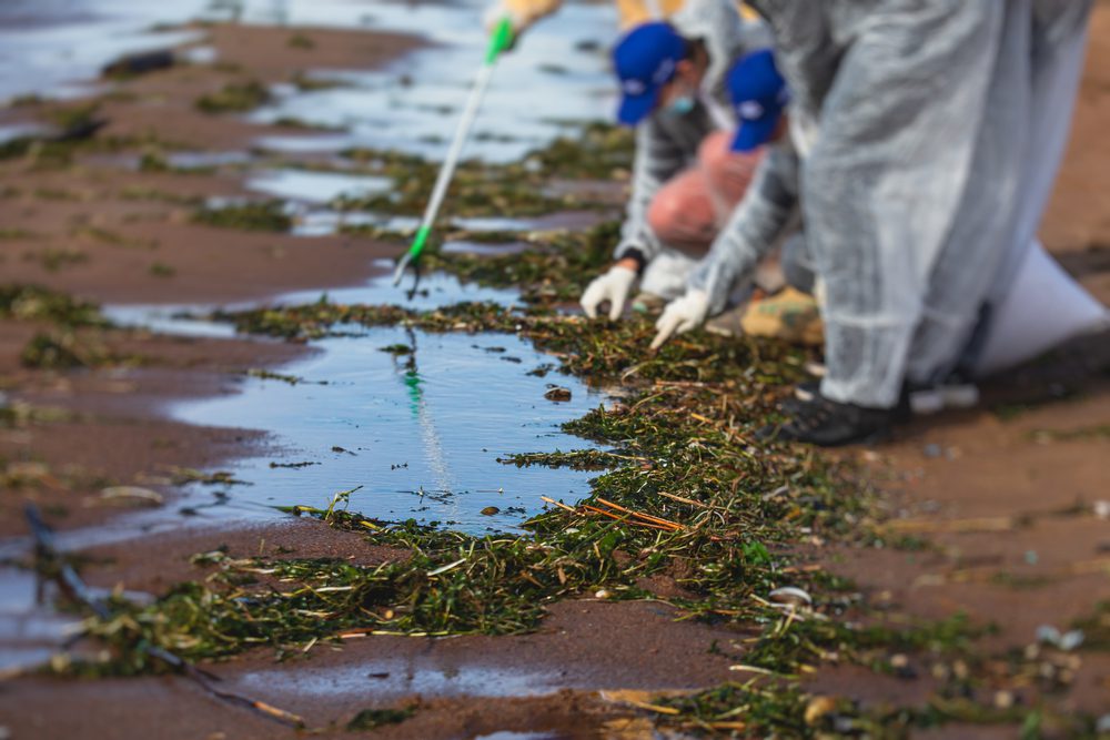 Expert Environmental Team