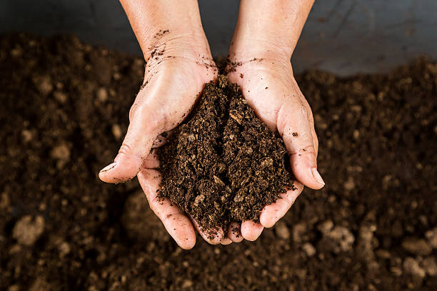 Sustainable Impact